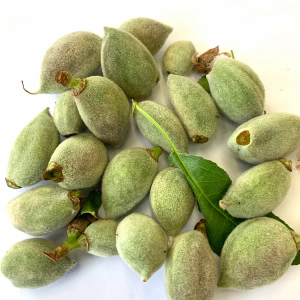 Fresh Almond (USA), 1 lb. *** seasonal ***