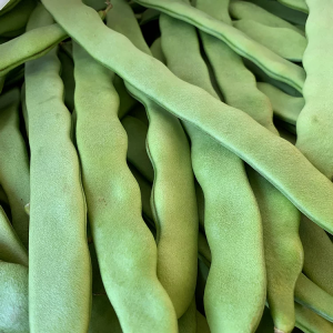 Romano Beans 1lb