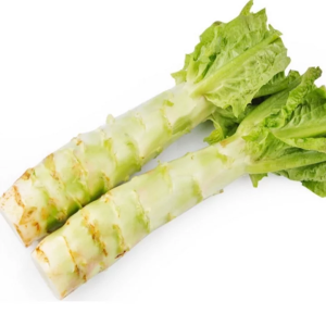 Celtuce 1.5 lbs